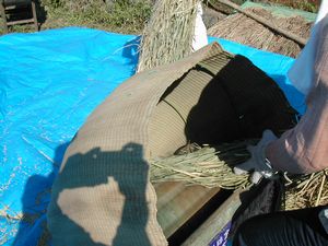 200417dakkoku_sagyou.jpg