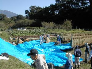 20041017jyunnbi.jpg