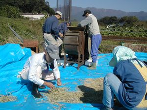 20041017toumi.jpg